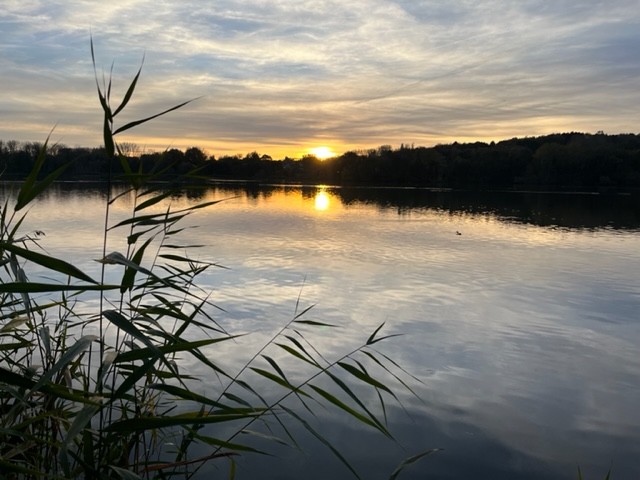 Zonsondergang bij de camper